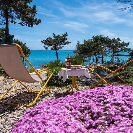 Giglio Di Mare Bed & Breakfast