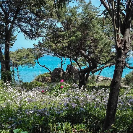 Bed & Breakfast Giglio Di Mare 3*