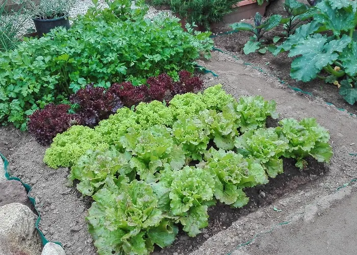 Giglio Di Mare Bed & Breakfast 3*